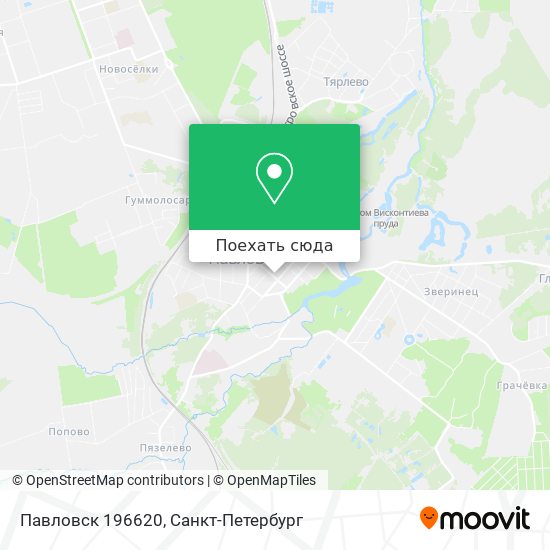 Карта Павловск 196620