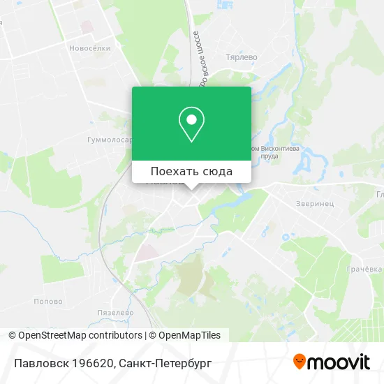 Карта Павловск 196620