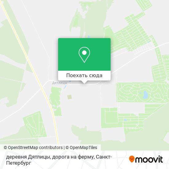 Карта деревня Дятлицы, дорога на ферму