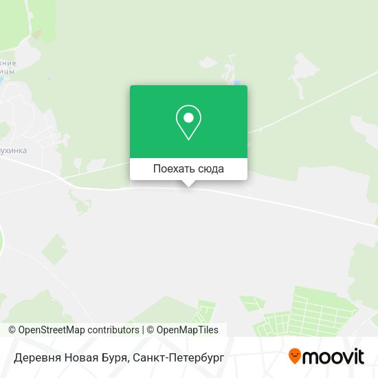 Карта Деревня Новая Буря