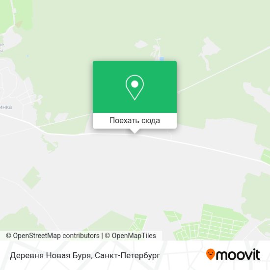 Карта Деревня Новая Буря