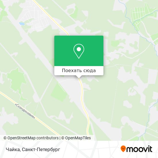 Карта Чайка