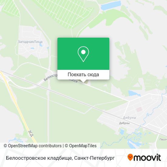 Карта Белоостровское кладбище