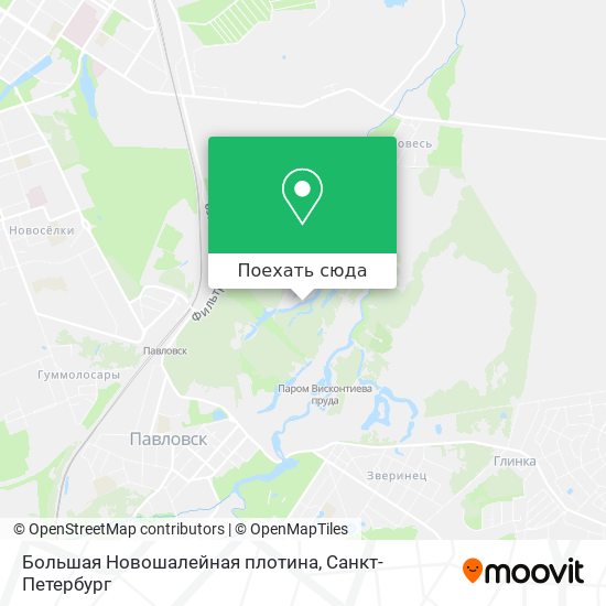 Карта Большая Новошалейная плотина