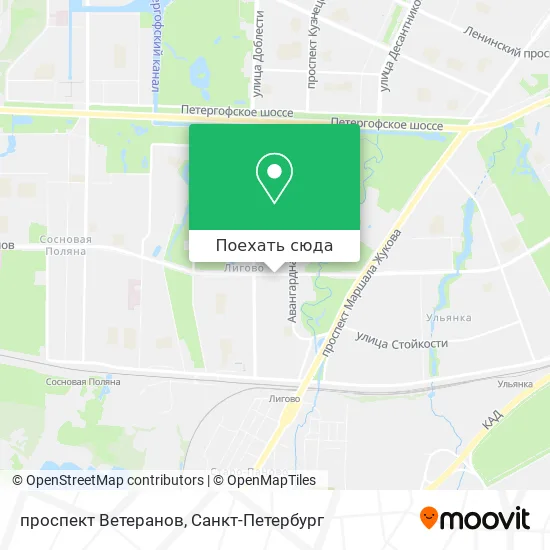 Карта проспект Ветеранов