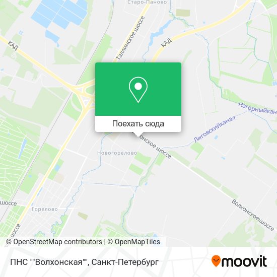Карта ПНС ""Волхонская""