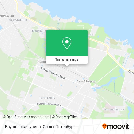 Карта Баушевская улица