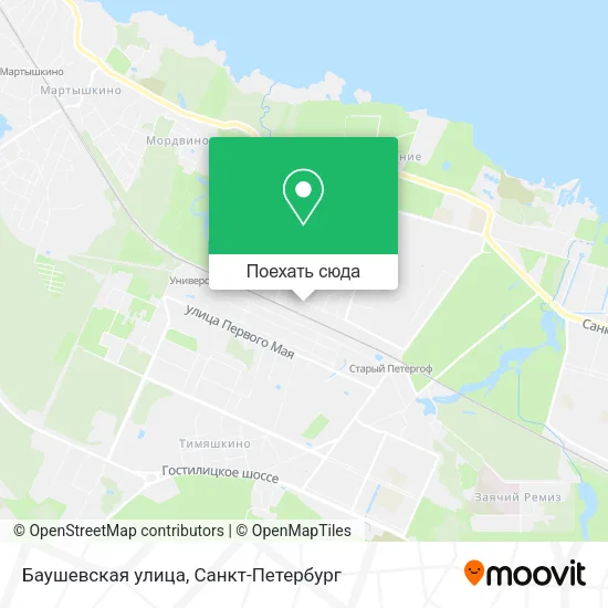 Карта Баушевская улица
