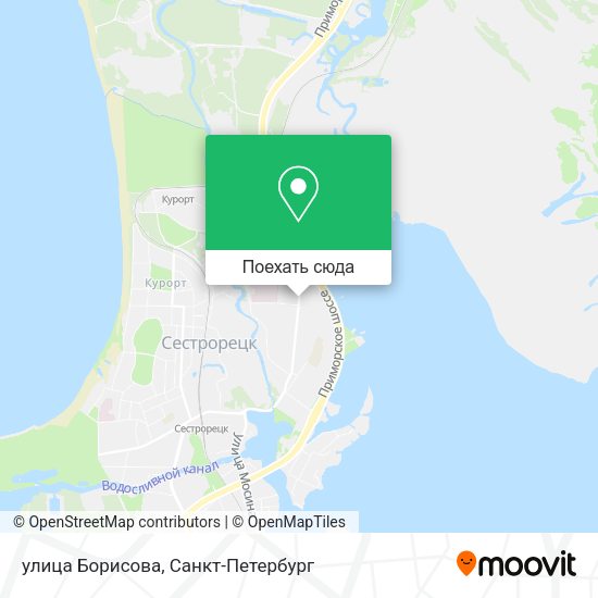 Карта улица Борисова