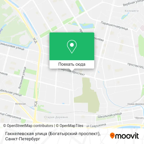 Карта Гаккелевская улица (Богатырский проспект)