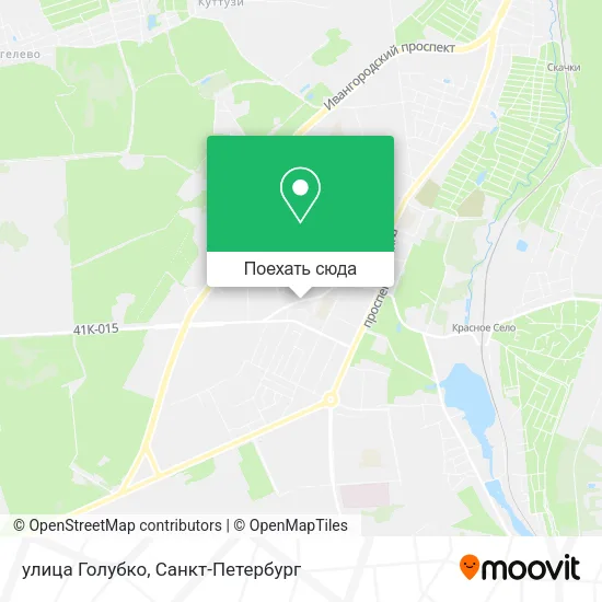 Карта улица Голубко