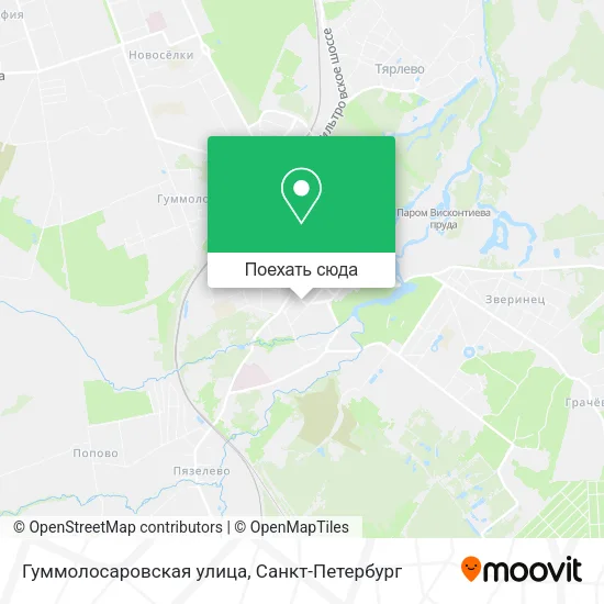Карта Гуммолосаровская улица