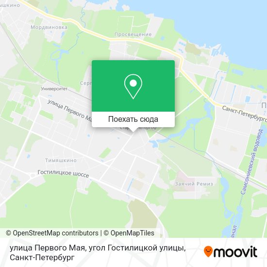Карта улица Первого Мая, угол Гостилицкой улицы