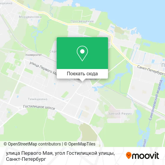 Карта улица Первого Мая, угол Гостилицкой улицы