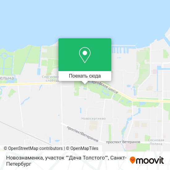 Карта Новознаменка, участок ""Дача Толстого""