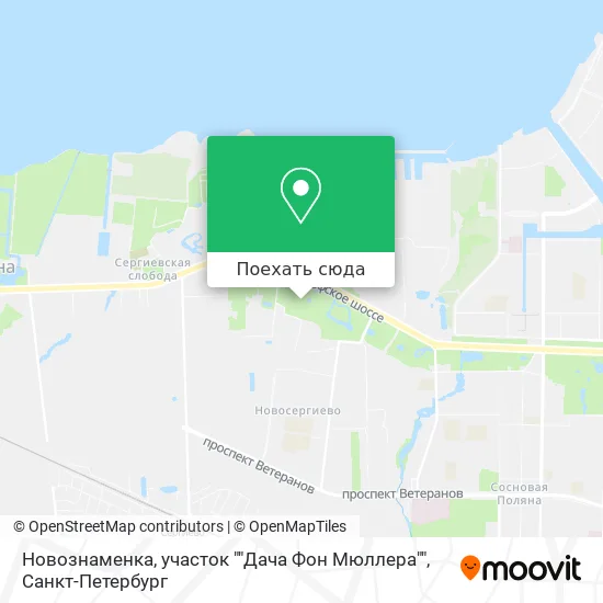 Карта Новознаменка, участок ""Дача Фон Мюллера""