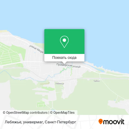 Карта Лебяжье, универмаг