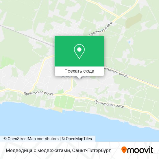 Карта Медведица с медвежатами