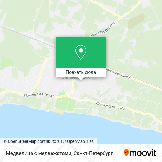 Карта Медведица с медвежатами