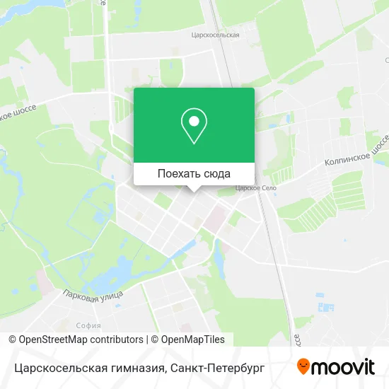 Карта Царскосельская гимназия