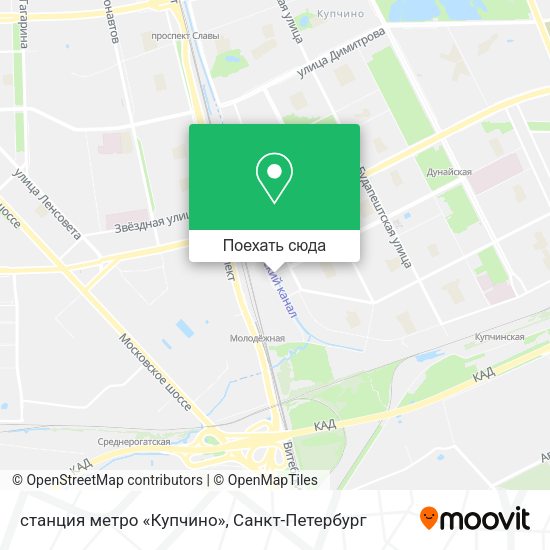 Карта станция метро «Купчино»