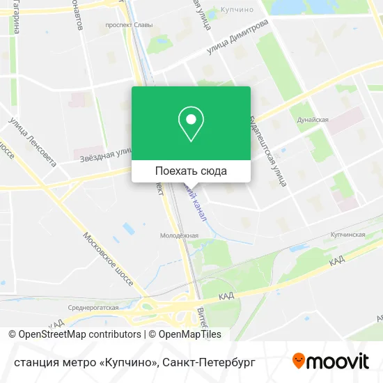 Карта станция метро «Купчино»