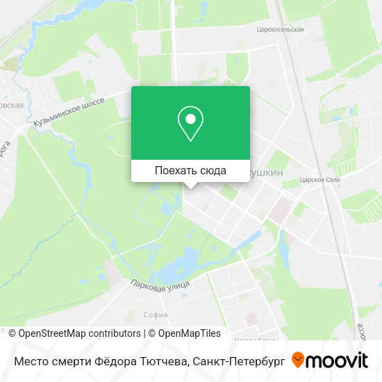 Карта Место смерти Фёдора Тютчева