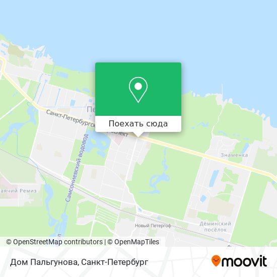 Карта Дом Пальгунова