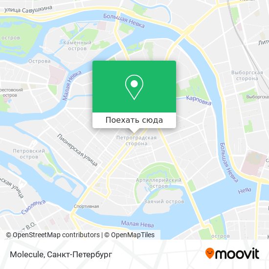 Карта Molecule