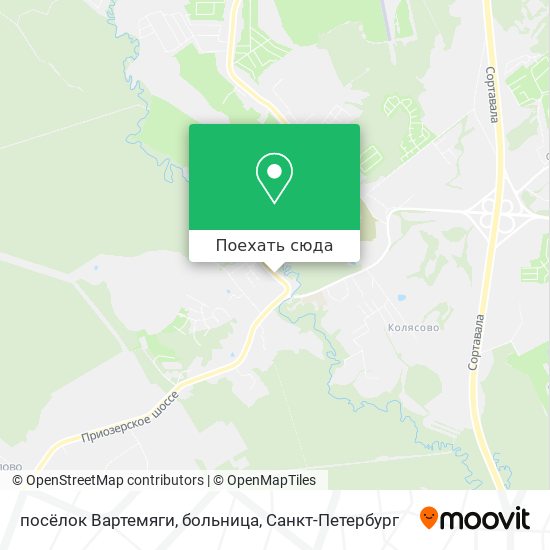 Карта посёлок Вартемяги, больница