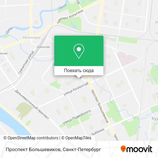 Карта Проспект Большевиков
