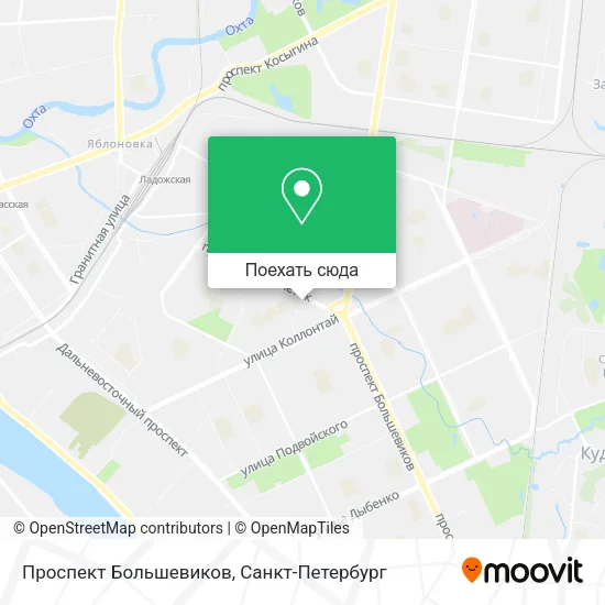 Карта Проспект Большевиков