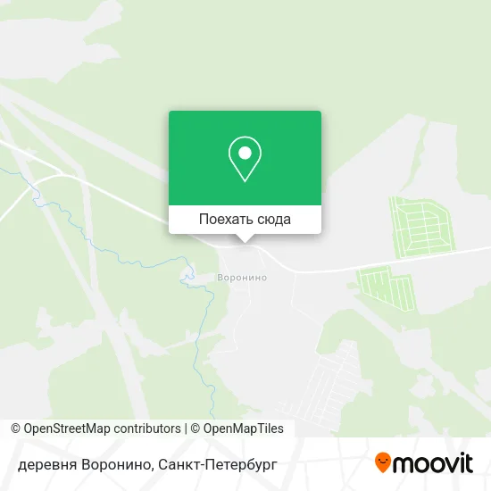 Карта деревня Воронино