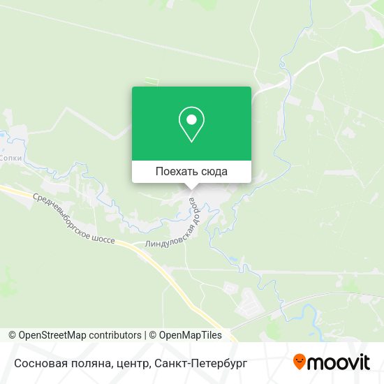 Карта Сосновая поляна, центр
