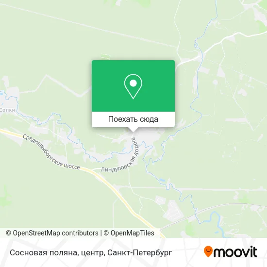 Карта Сосновая поляна, центр