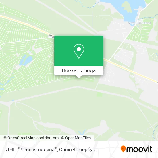 Карта ДНП ""Лесная поляна""