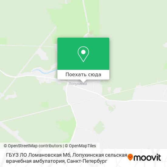 Карта ГБУЗ ЛО Ломановская Мб, Лопухинская сельская врачебная амбулатория