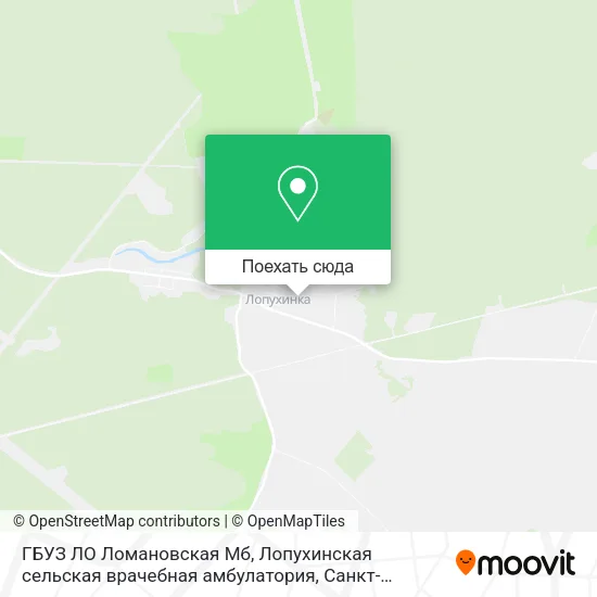 Карта ГБУЗ ЛО Ломановская Мб, Лопухинская сельская врачебная амбулатория