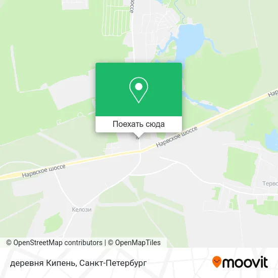 Карта деревня Кипень