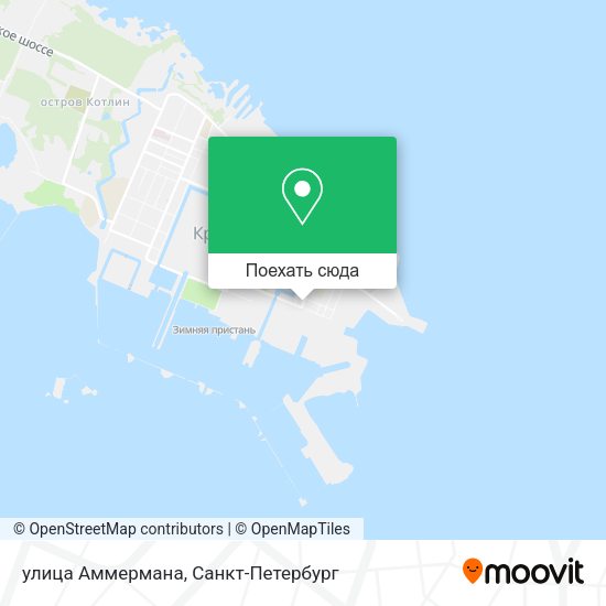 Карта улица Аммермана