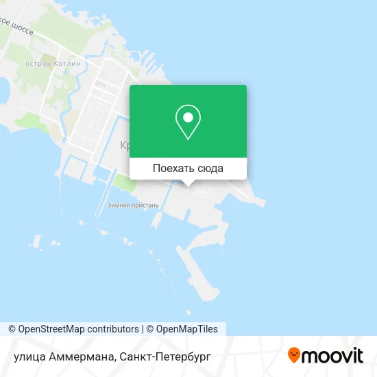 Карта улица Аммермана