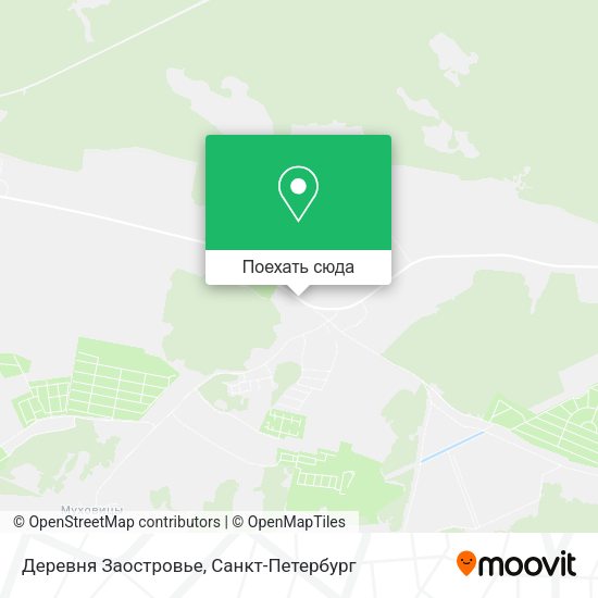 Карта Деревня Заостровье