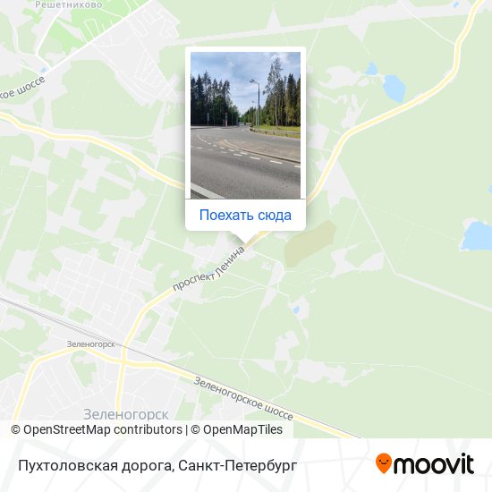 Карта Пухтоловская дорога