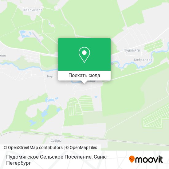Карта Пудомягское Сельское Поселение