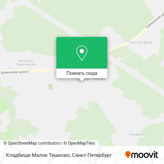 Карта Кладбище Малое Тешково