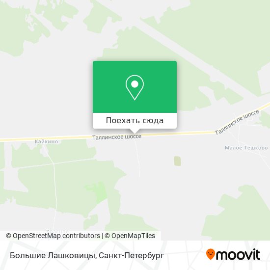 Карта Большие Лашковицы