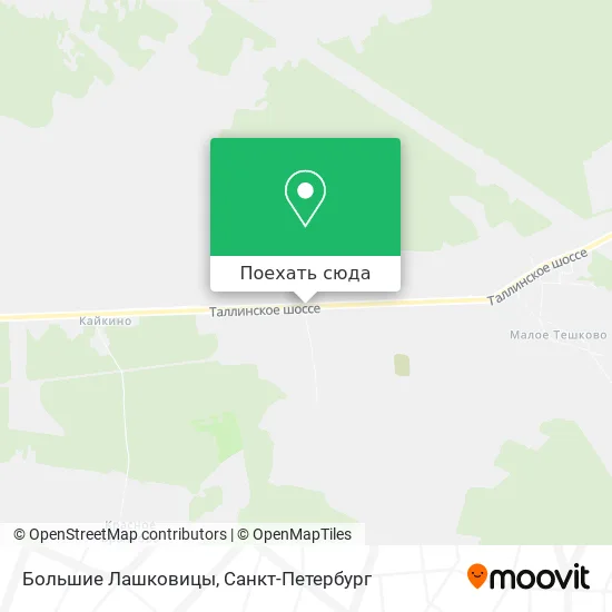 Карта Большие Лашковицы