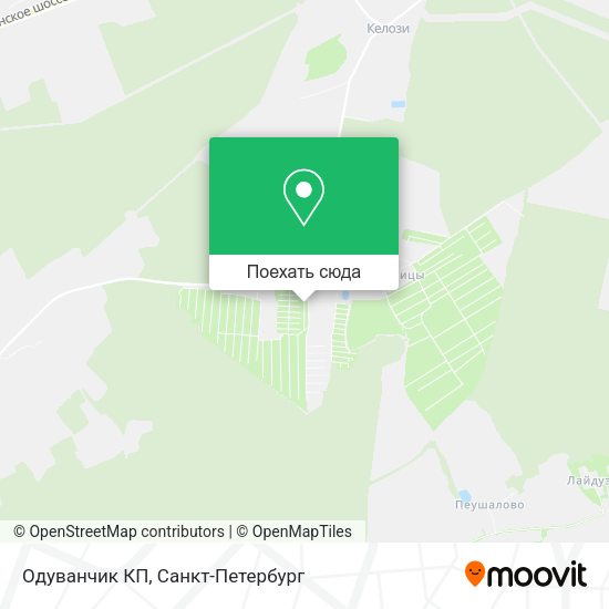 Карта Одуванчик КП