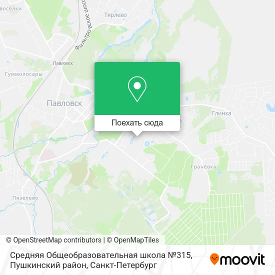 Карта Средняя Общеобразовательная школа №315, Пушкинский район