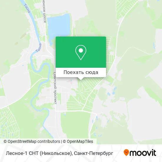 Карта Лесное-1 СНТ (Никольское)